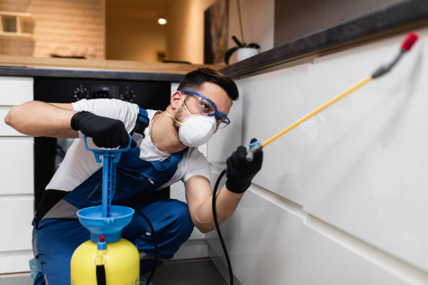 Best Best Pest Control Companies  in Humboldt, KS