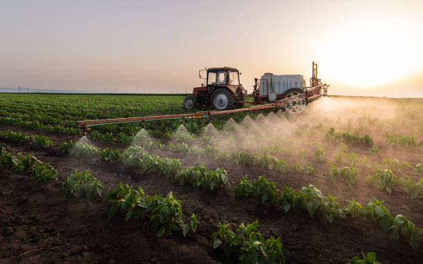 Best Ant Control Services  in Humboldt, KS