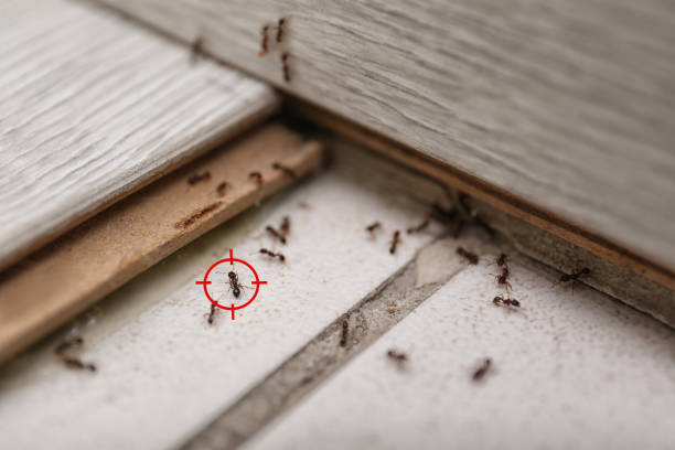 Best Pest Removal Services  in Humboldt, KS