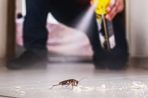 Best Insect Control  in Humboldt, KS