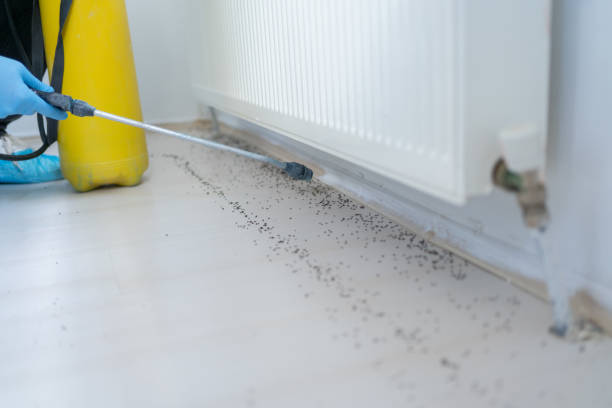 Best Flea Control Services  in Humboldt, KS