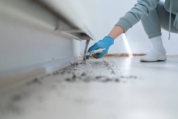 Best Emergency Pest Control  in Humboldt, KS