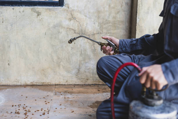 Best Affordable Pest Control Services  in Humboldt, KS