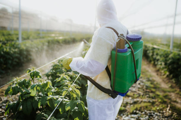 Best Bed Bug Extermination  in Humboldt, KS